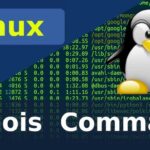 Comment masquer les données personnelles associées à un domaine dans les résultats WHOIS ?