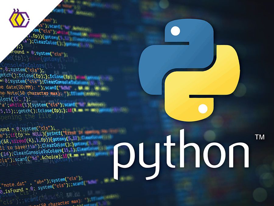 Illustration pédagogique montrant l’apprentissage de Python avec la fonction input() et les variables : un ordinateur affiche un code Python demandant le nom de l’utilisateur, tandis que des encadrés expliquent la saisie utilisateur, le stockage de la valeur dans une variable, l’affichage du résultat et l’importance d’utiliser Python 3.