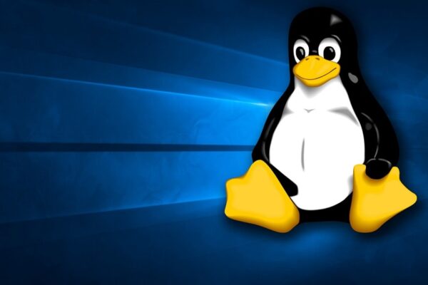 Pourquoi utiliser Linux pour le piratage éthique sur une machine virtuelle ?