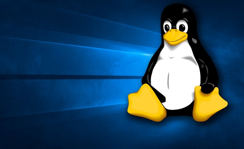 Pourquoi utiliser Linux pour le piratage éthique sur une machine virtuelle ?