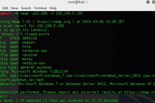 Scan Nmap montrant la découverte des versions des services actifs sur une machine cible